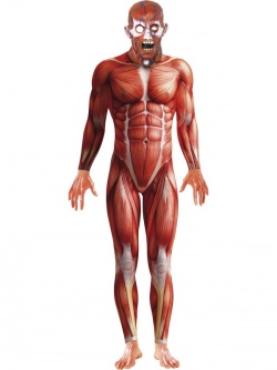 Kostým Lidské Tělo